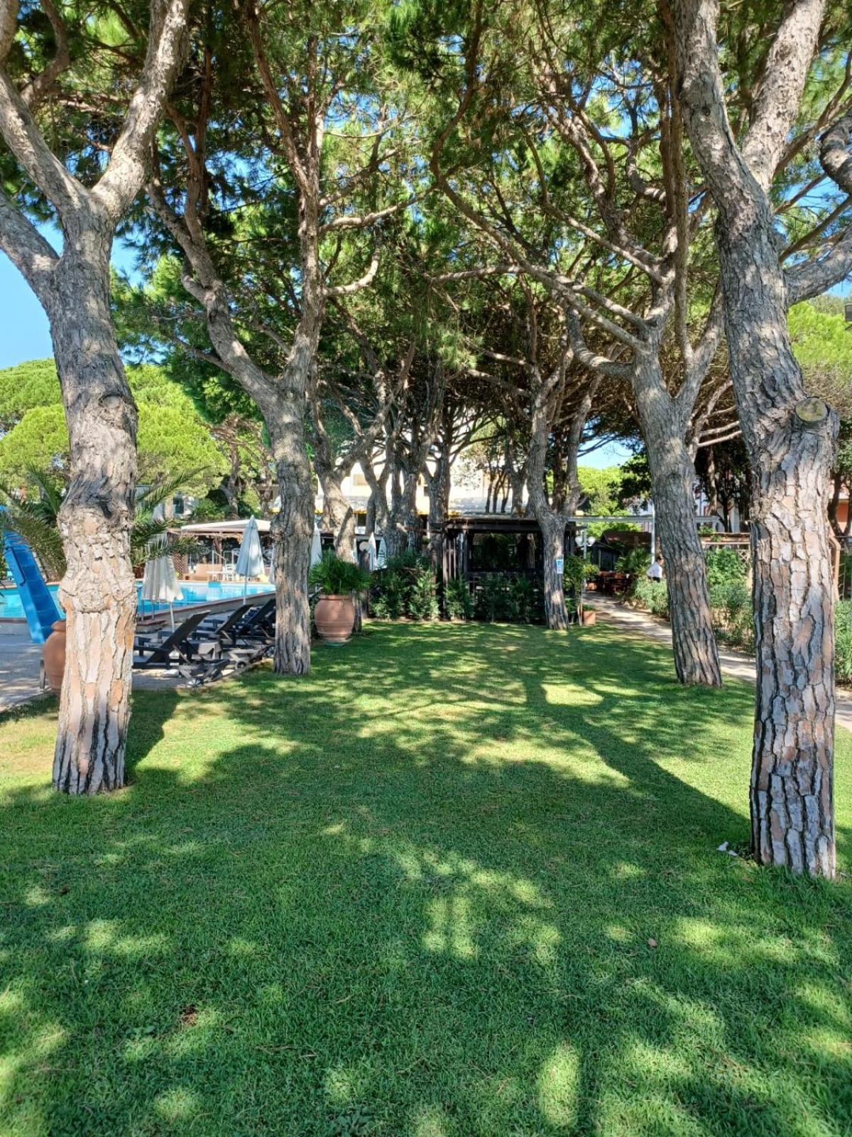 Hotel Vina Del Mar Pineta Lido di Jesolo Exterior photo